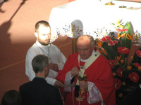 IMG_5231.JPG