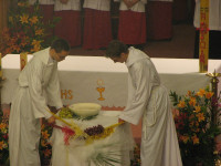 IMG_7433.JPG