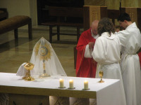 IMG_9920.JPG