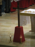 IMG_9878.JPG