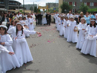 IMG_1174.JPG