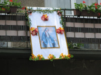 IMG_1182.JPG