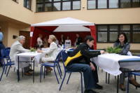 IMG_8464_1750x1166.jpg