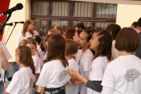 IMG_8408_1750x1166.jpg