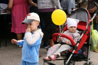 IMG_8694_1750x1166.jpg