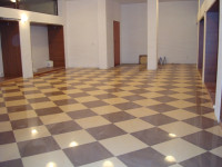 DSC01095.JPG