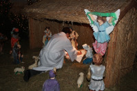 IMG_8756.JPG