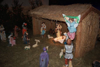 IMG_8757.JPG