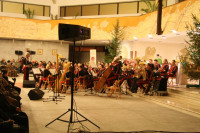 IMG_3171.JPG