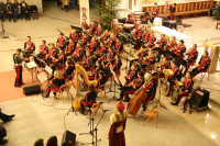 IMG_3254.JPG