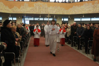 IMG_9731.JPG