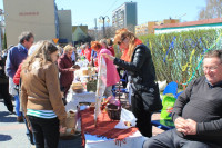IMG_5242.JPG