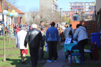 IMG_5415.JPG