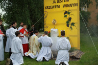 IMG_6551.JPG