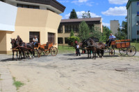 IMG_8172.JPG