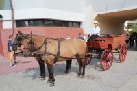 IMG_8361.JPG