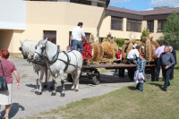 IMG_8367.JPG