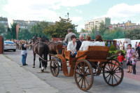 IMG_8360.JPG