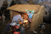 IMG_8991.JPG