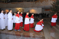 IMG_8998.JPG