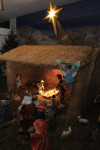 IMG_8993.JPG