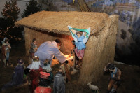 IMG_8992.JPG