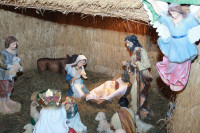 IMG_9176.JPG