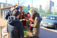 IMG_5435.JPG