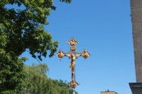 IMG_7547.JPG