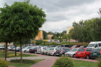 IMG_7762.JPG
