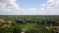 20160618_110844.jpg