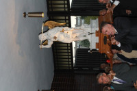 IMG_7620.JPG