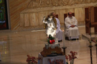 IMG_7847.JPG