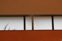 IMG_8616.JPG