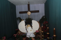 IMG_9520.JPG