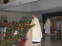 IMG_2245.JPG