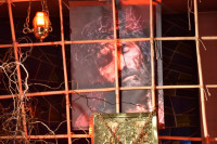 DSC_6018_219.jpg