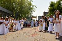 DSC_8474.jpg