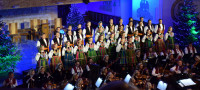 DSC_3130.JPG