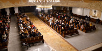NK7_0495.JPG