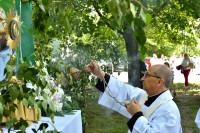 NK5_3870.JPG
